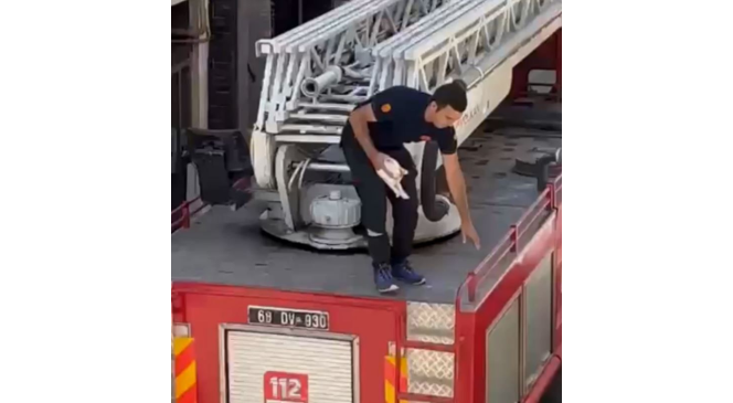 Balkonda mahsur kalan yavru kediyi itfaiye kurtardı