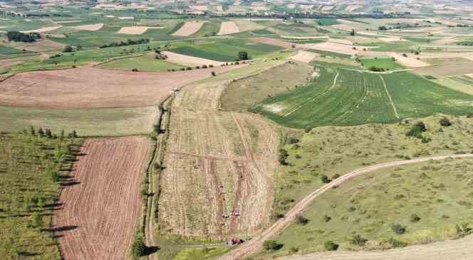 Dijital pazara giren Taşköprü sarımsağı, Türkiye’nin her yerine gönderiliyor