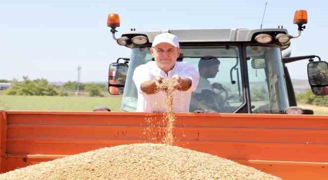 Büyükçekmece’de buğday hasat dönemi başladı