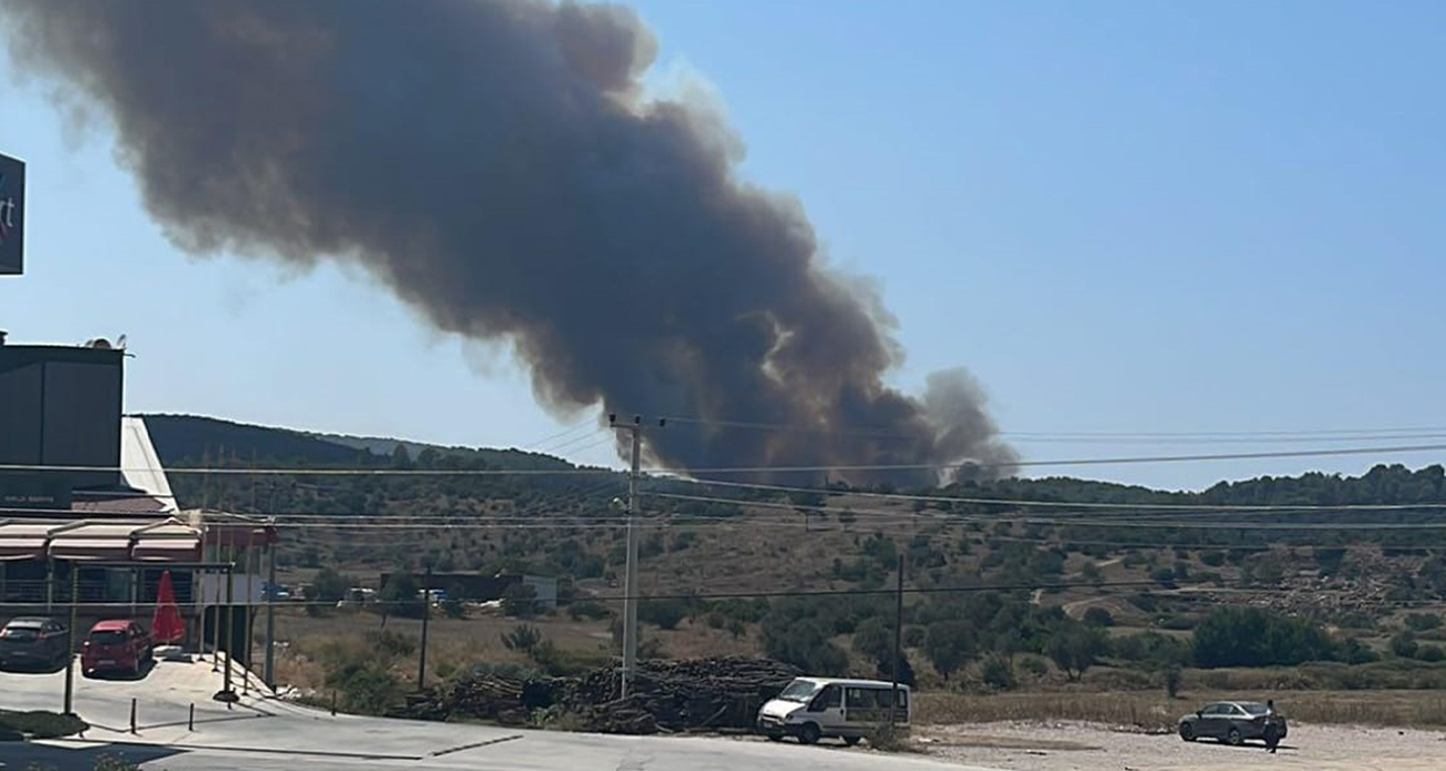 Milas’ta orman yangını başladı