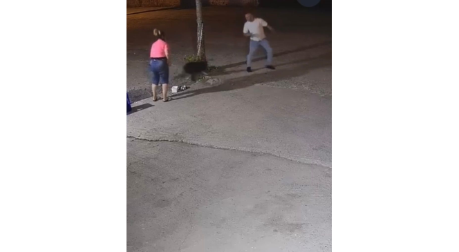 Ağaca bağlı köpeğe, arkadaşına saldırdığı için kurşun yağdırmış