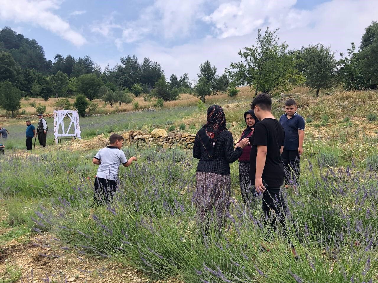Kadın çiftçi devlet desteği ile çorak arazileri lavanta bahçesi yaptı
