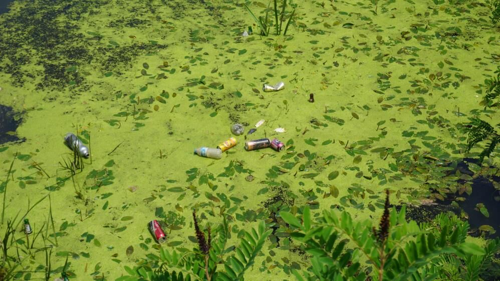 Edirne'de Tunca Nehri plastik atıklar ve çöplerle kaplandı