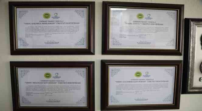 Ordu’da Coğrafi Tescilli ürünlere talep arttı