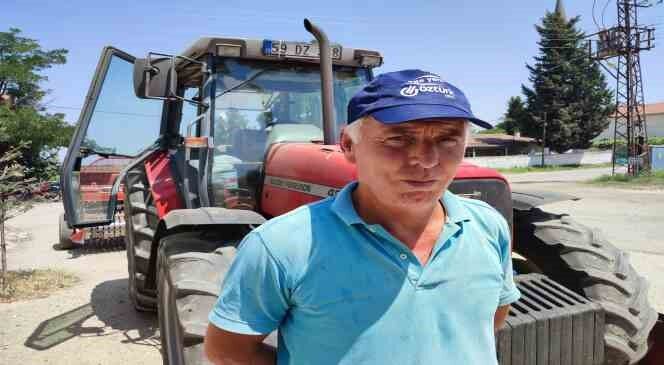 Keşan’da ayçiçeği üreticisi domuz zararına karşı mücadele ediyor