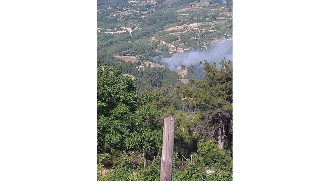 Adana’da ikinci orman yangını: Ekipler müdahaleye başladı
