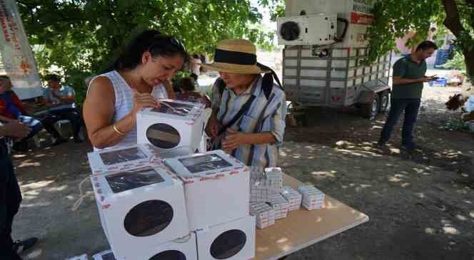 Turunçgillerde biyolojik mücadele