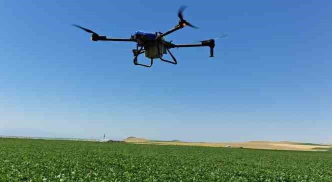 Adilcevaz’da dronla ilaçlamada dönemi