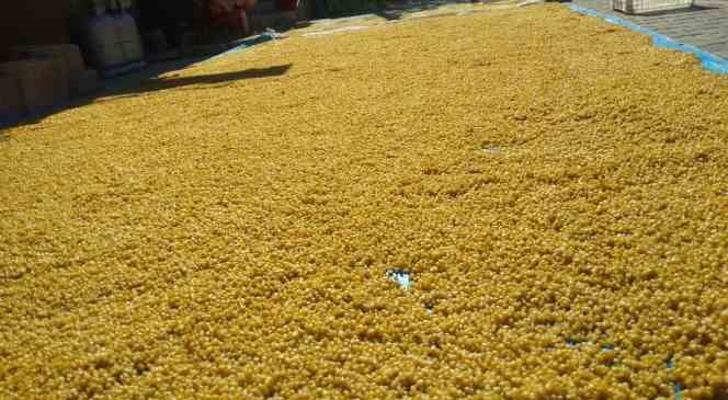 Malatya’da kışlık bulgur mesaisi başladı