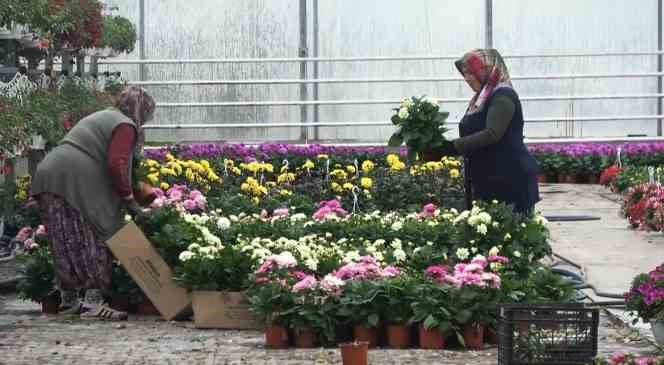 Yalova’nın 7 aylık ihracatı 268 milyon dolara ulaştı