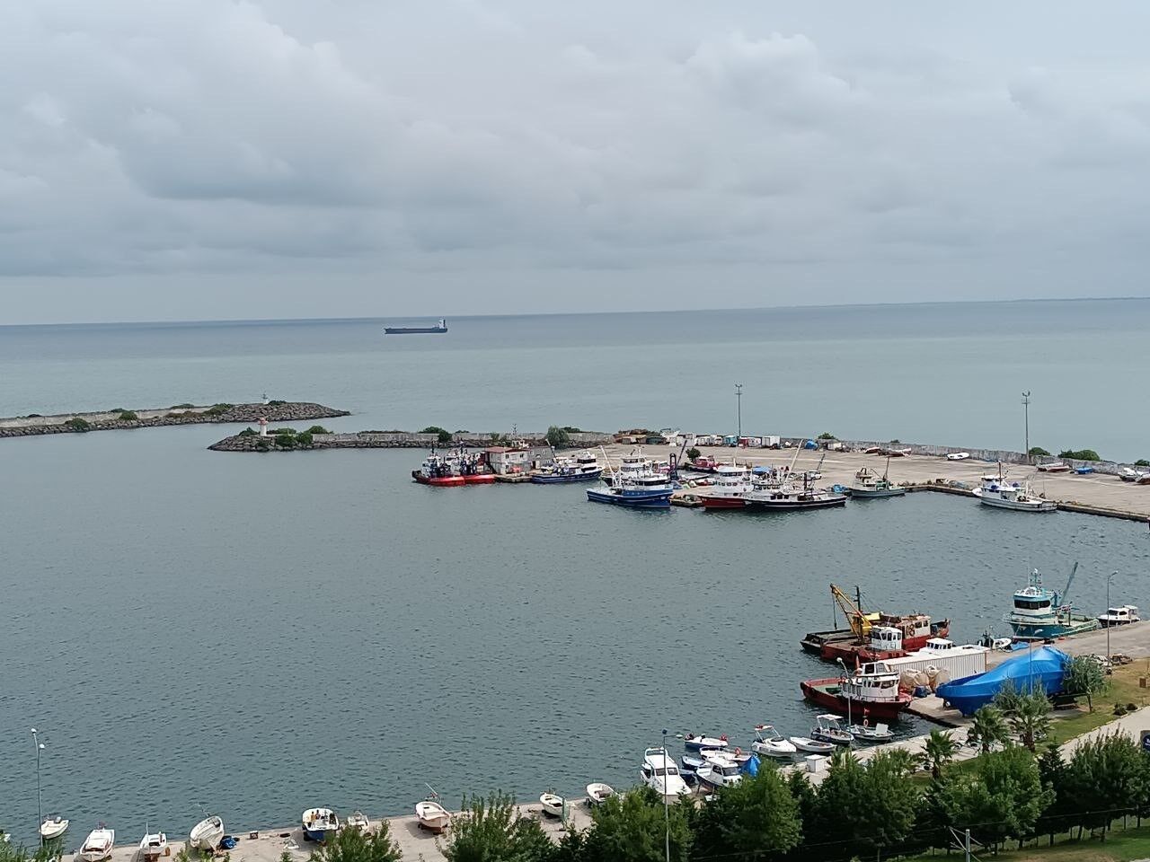 Karadeniz’de bu yıl palamut yok, hamsi var