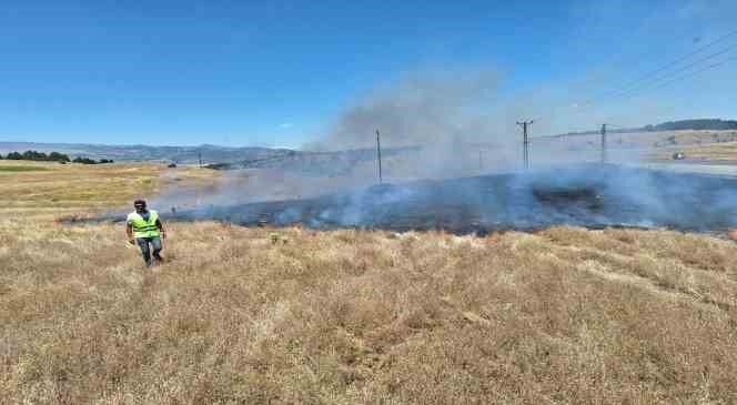 Bingöl’de anız yangını büyümeden söndürüldü