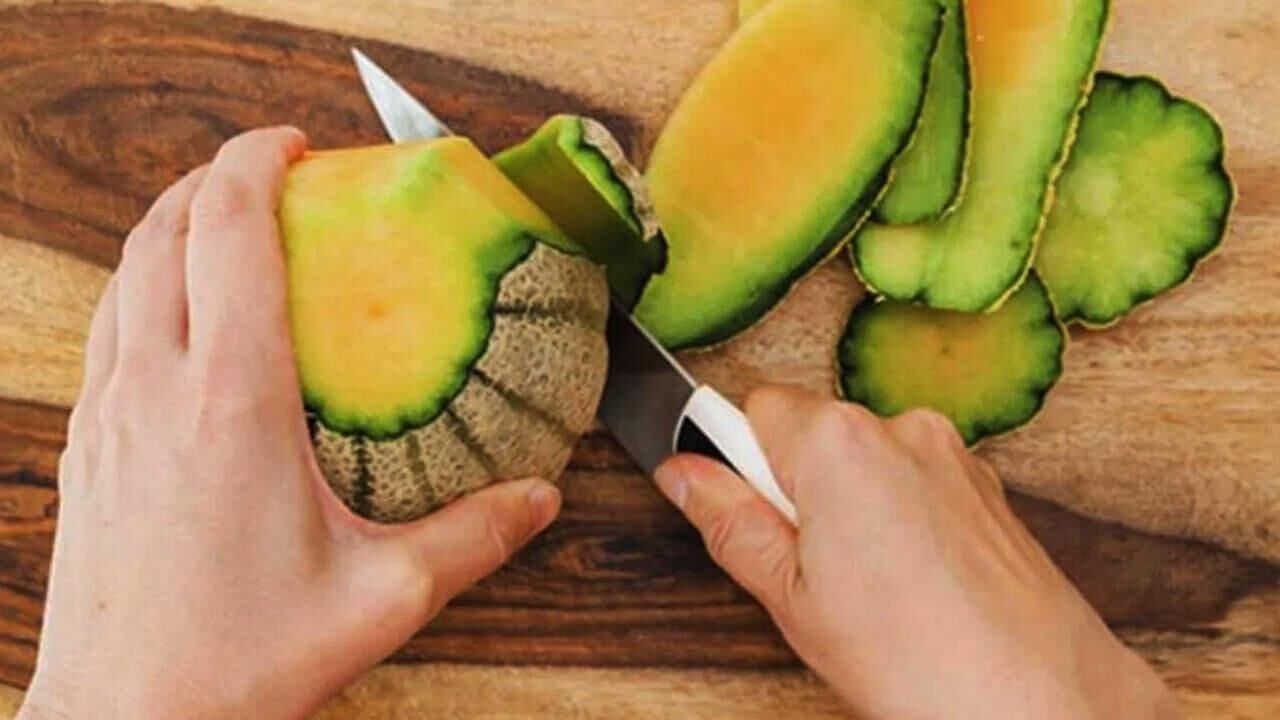 İbn-i Sina’nın şifalı bitki reçeteleri: Egzama, sedef tedavisi için kavun kabuğu!