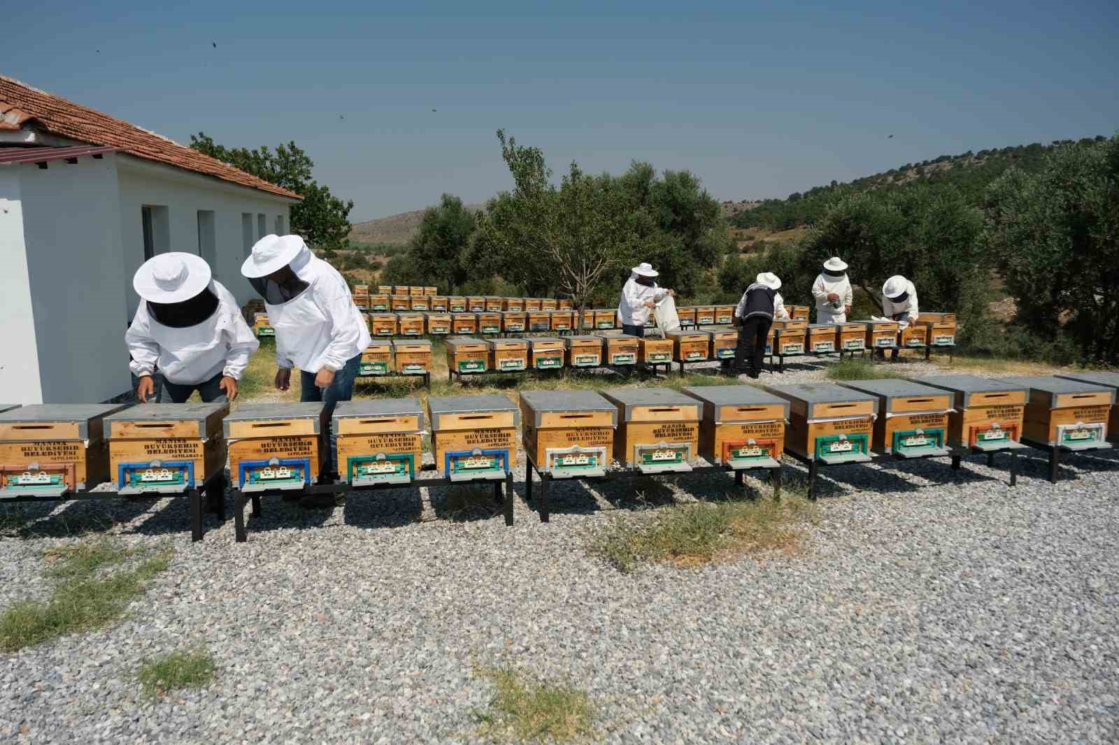 Küresel ısınma arıcıları alternatif ürünlere yöneltti