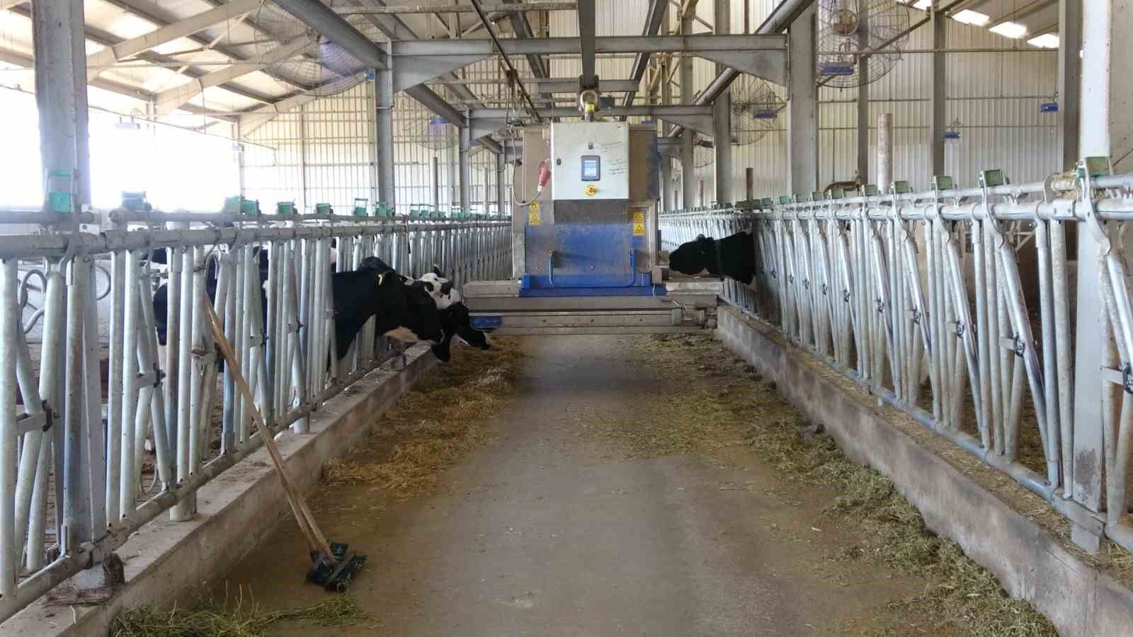 Besi çiftliği değil üniversite