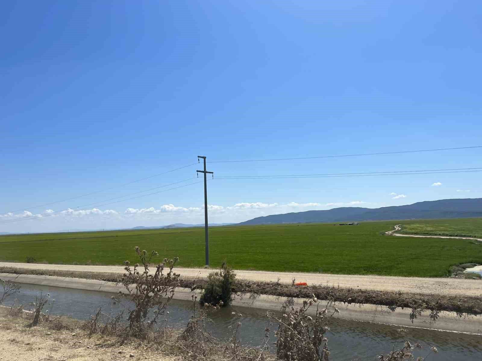 Meriç Nehri’ne deniz suyu karışmaması için yapılan sedde incelendi