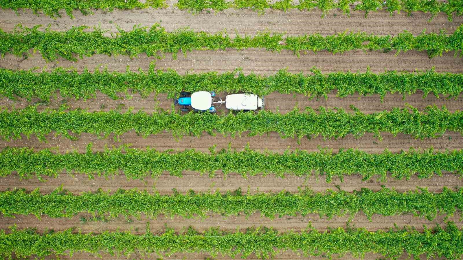 Topraklarını tanıyıp daha çok kazandılar