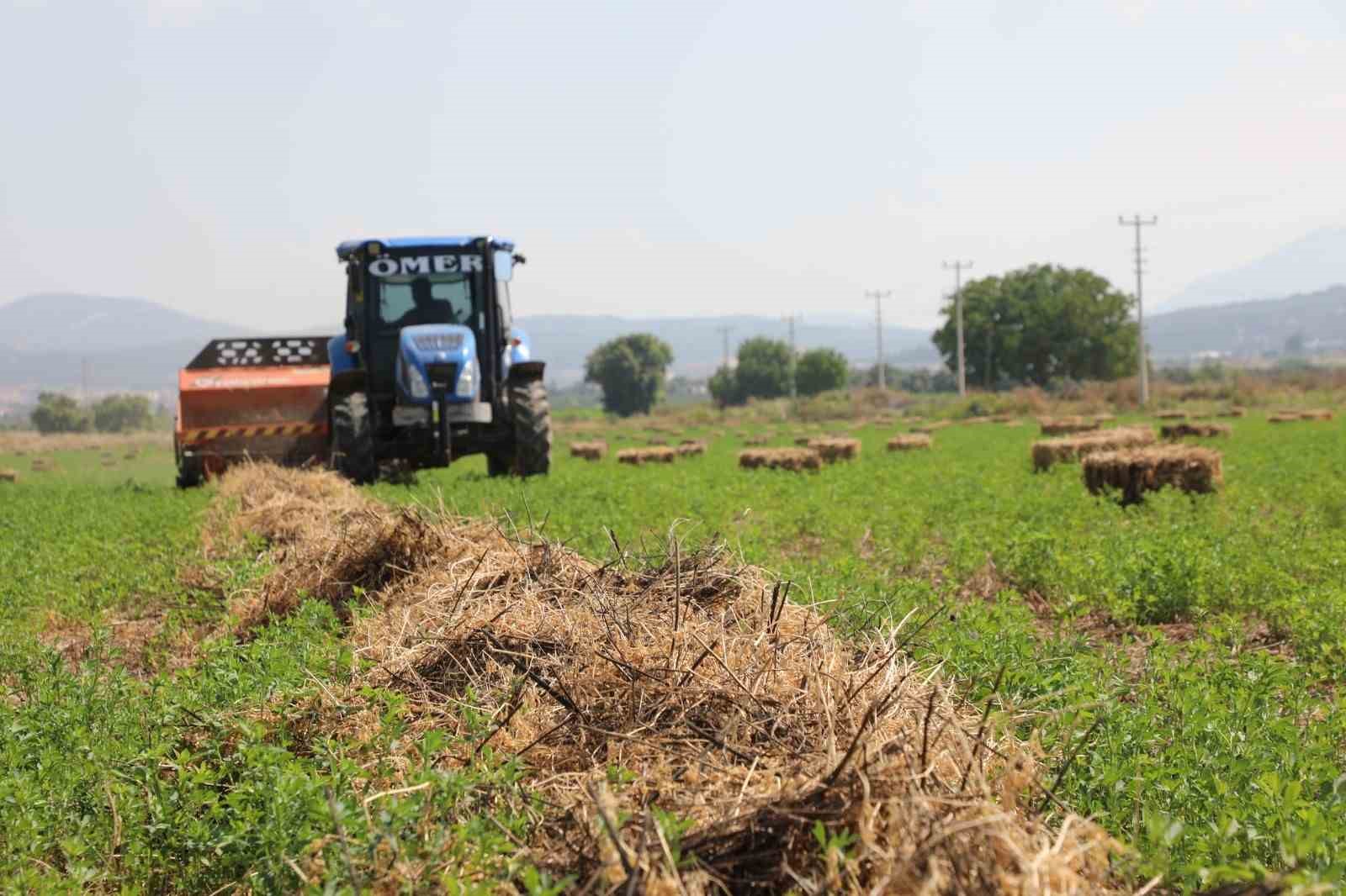 Büyükşehir’den 700 üreticiye 3 Milyon TL değerinde kaba yem desteği