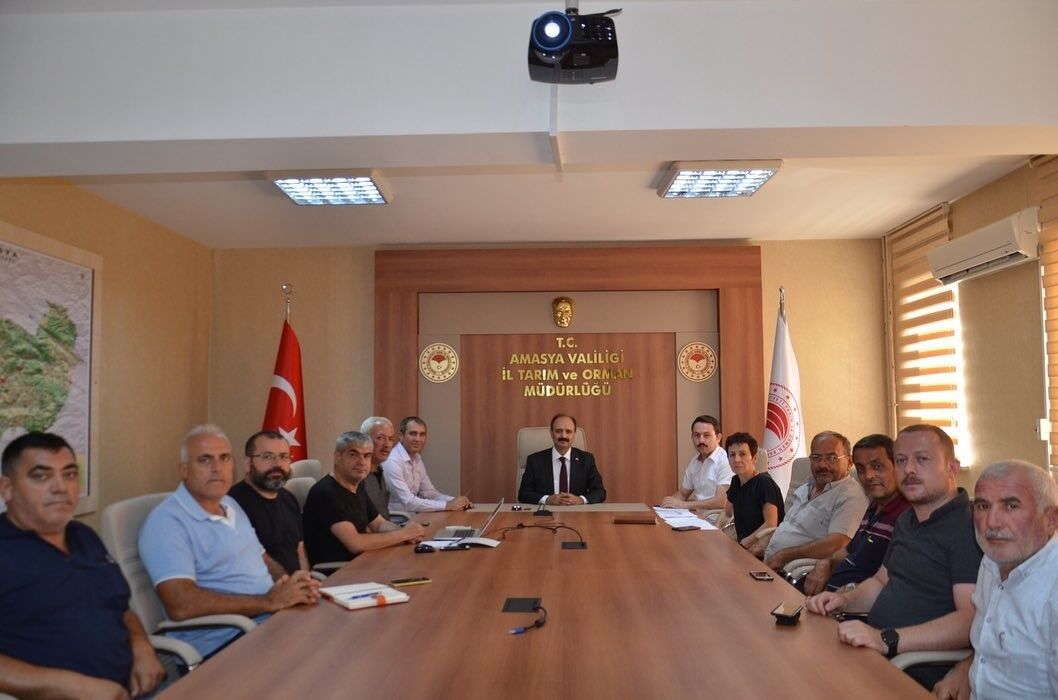 Amasya’da domates hasadını ‘tuta’ vurdu, tonlarca ürün zarar gördü