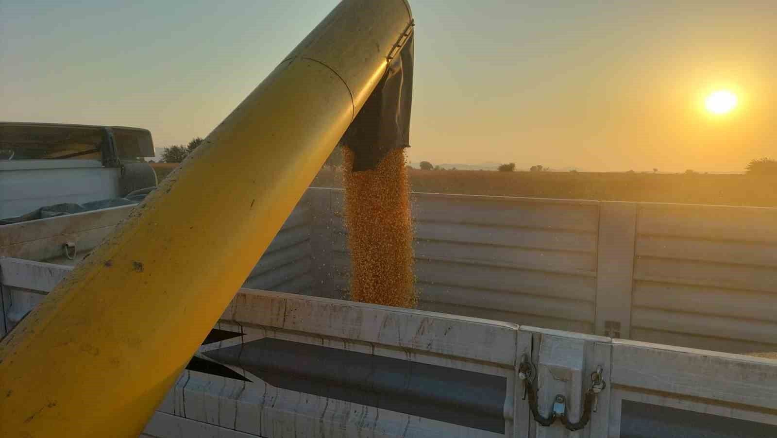 Osmaniye’de mısırda verim çiftçinin yüzünü güldürdü
