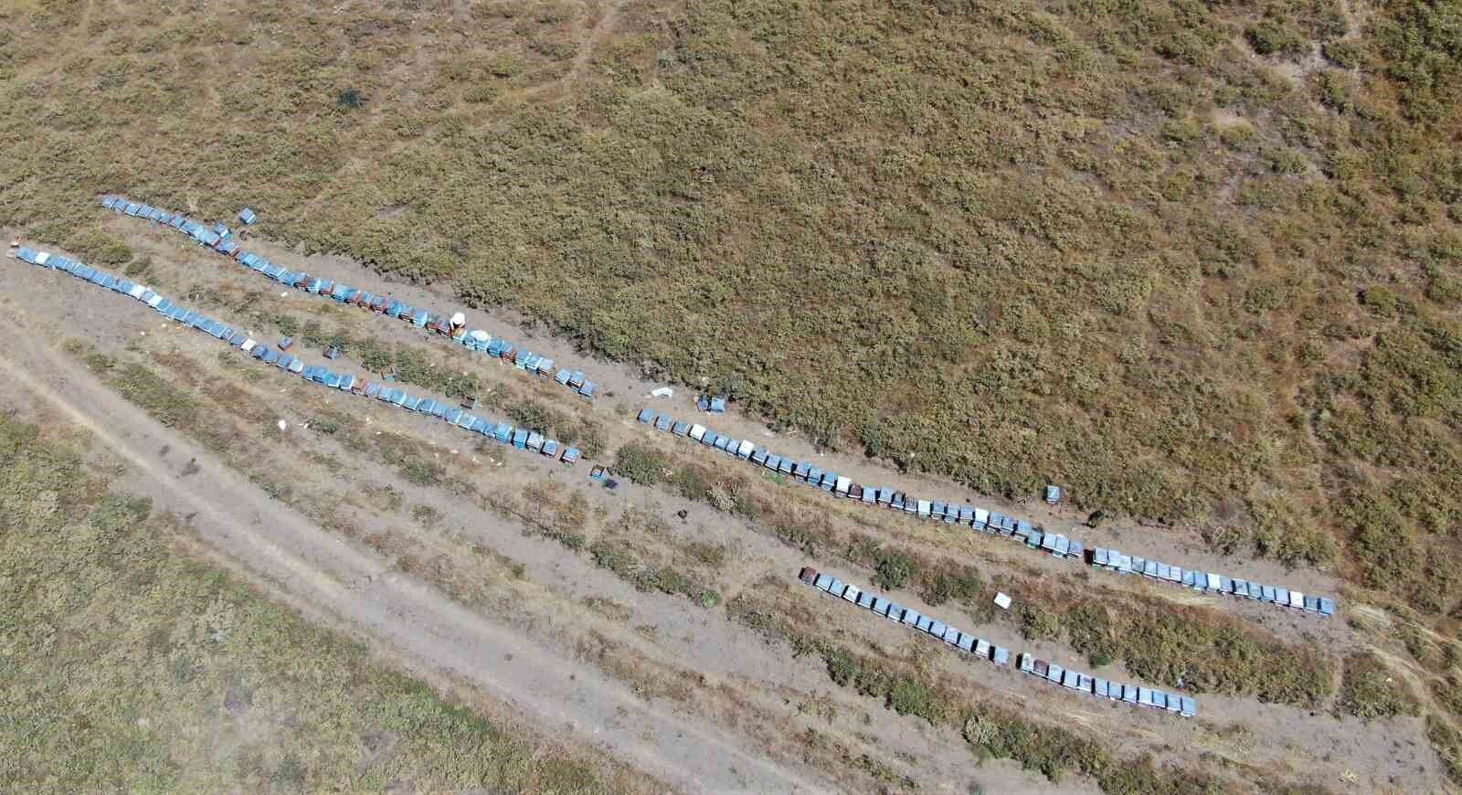 2000 rakımda tescilli geven balının hasadı başladı