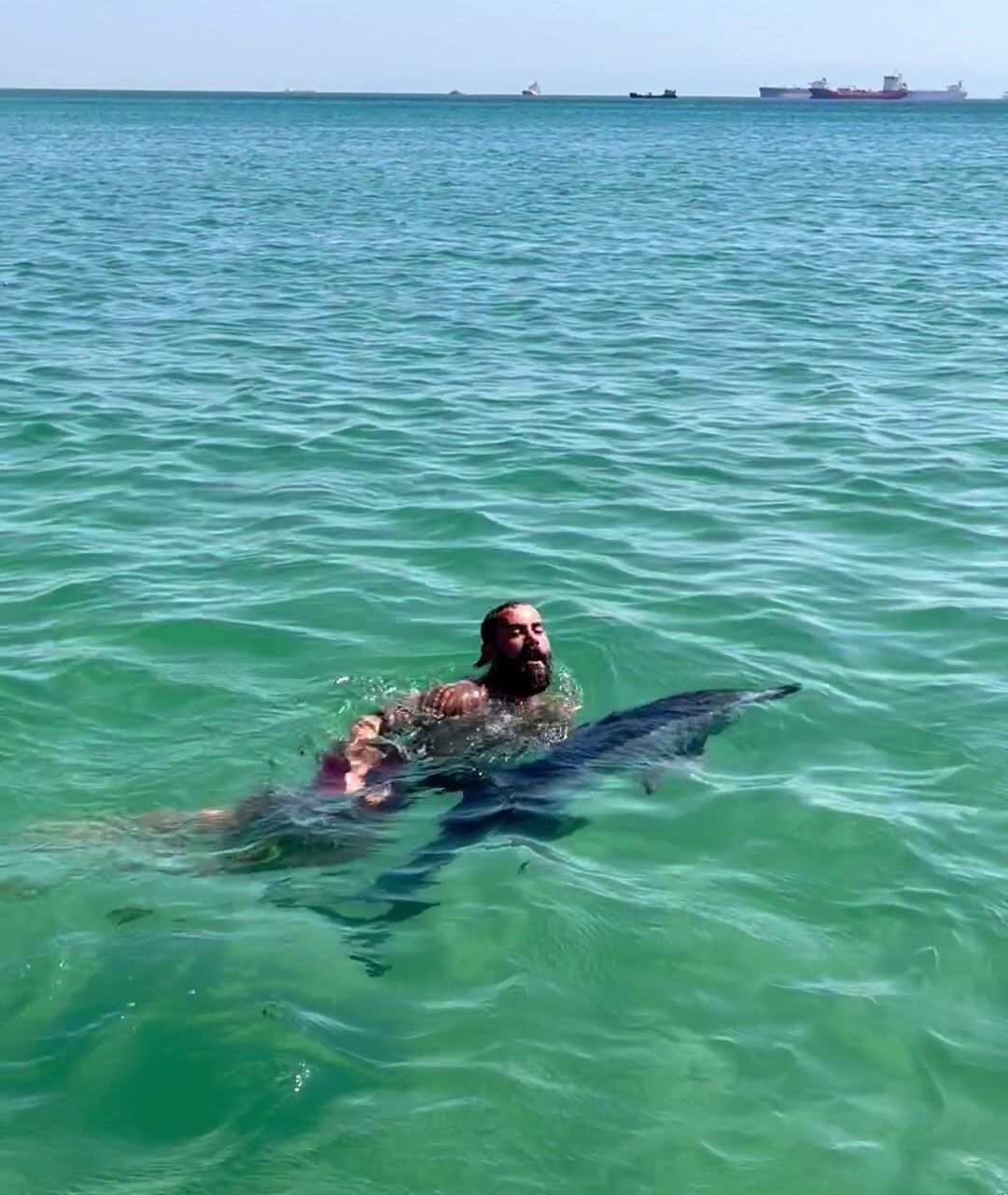 Menekşe Sahili’nde kıyıya vuran yunus cankurtaran ekipleri tarafından kurtarıldı