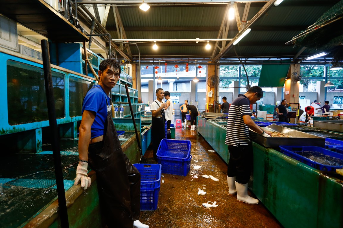 Güney Kore'de 'Fukuşima' protestosu: 16 kişi gözaltına alındı