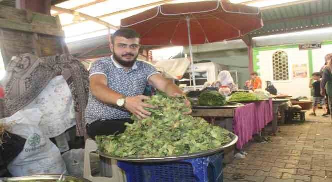 Toplanan taze fındıklar semt pazarlarındaki tezgahlarda yerini almaya başladı