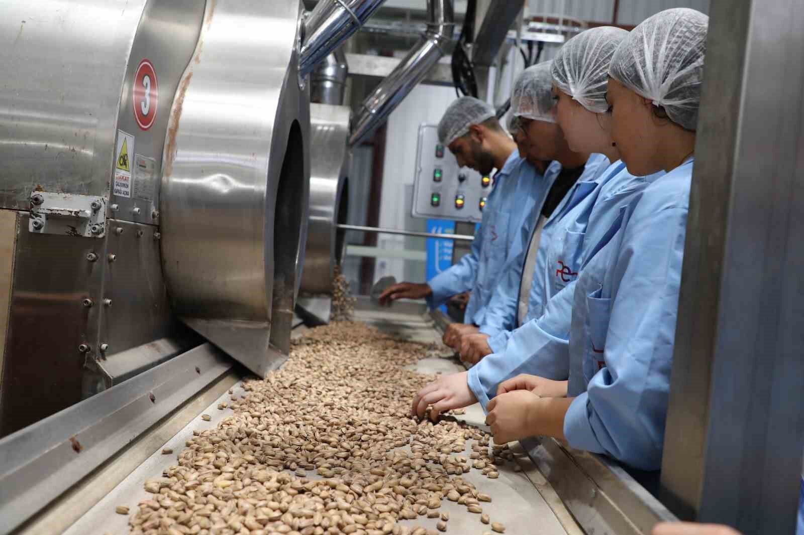 GTB’den Antep fıstığının işlenmesine yönelik eğitim