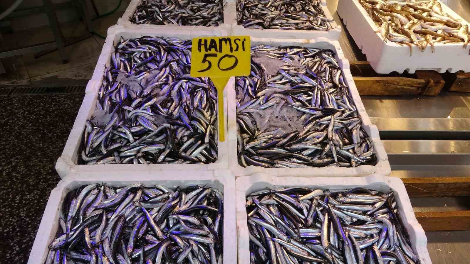 Trabzon’un balığı Batı Karadeniz’den