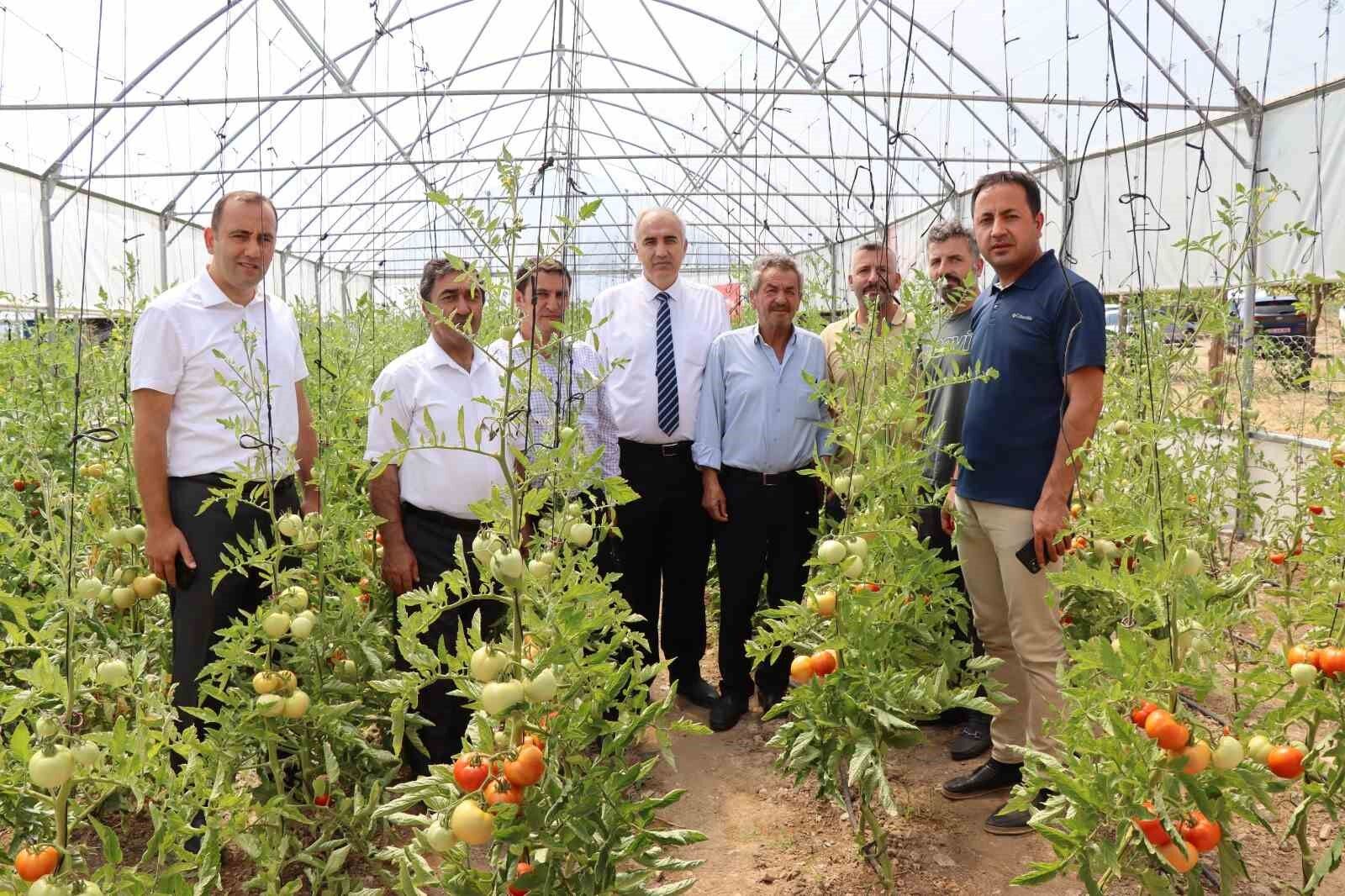 Oltu’da devlet destekli seralar çiftçilerin yüzünü güldürdü