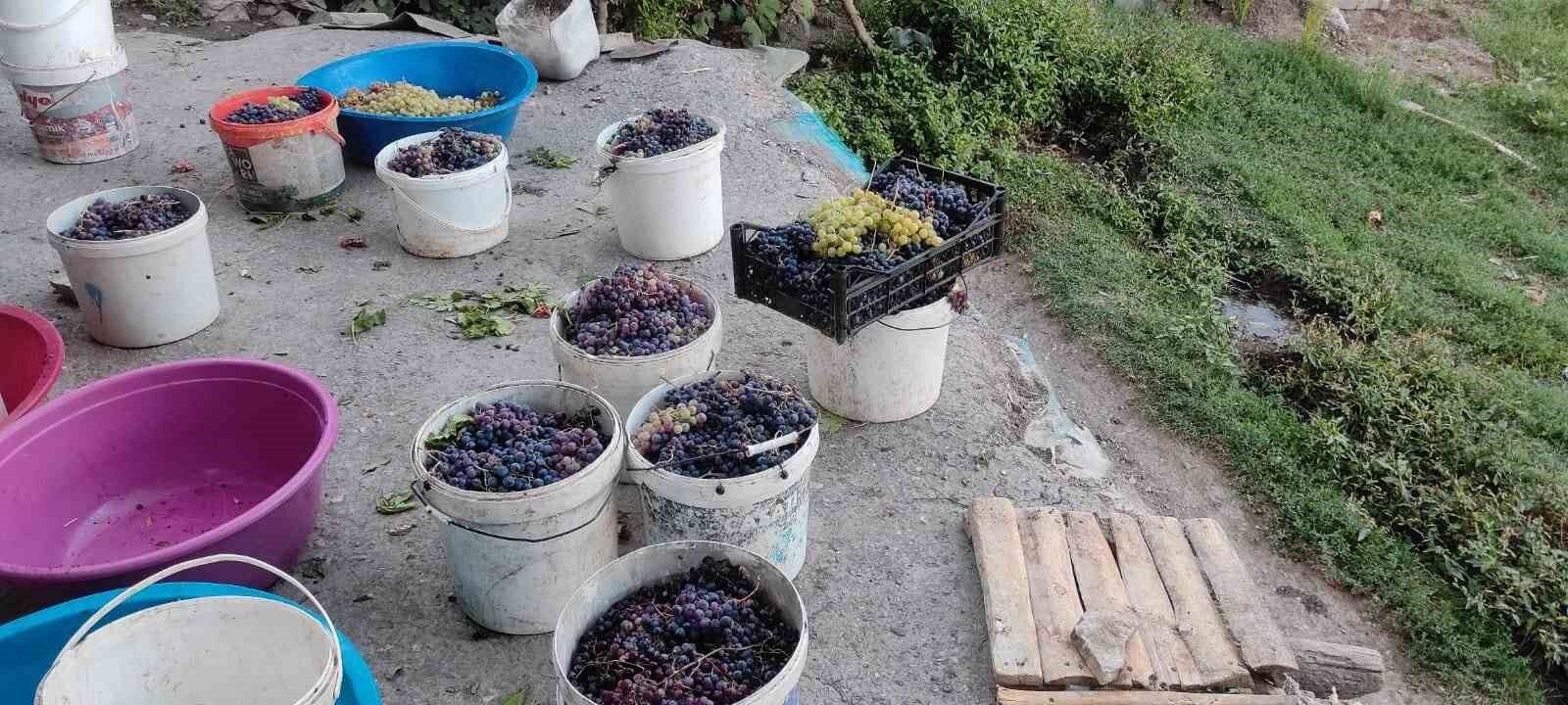 Batman’da üzüm hasadıyla birlikte pekmez kazanları kaynamaya başladı