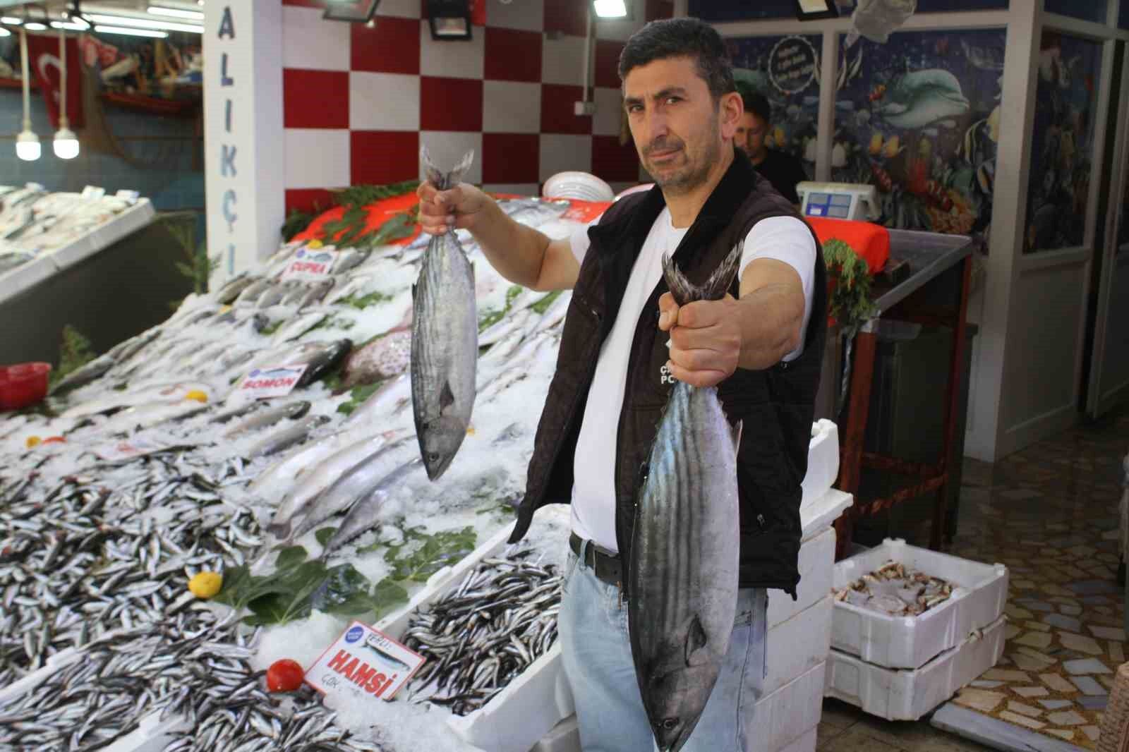 Ordulu balıkçılar hamsiden umutlu