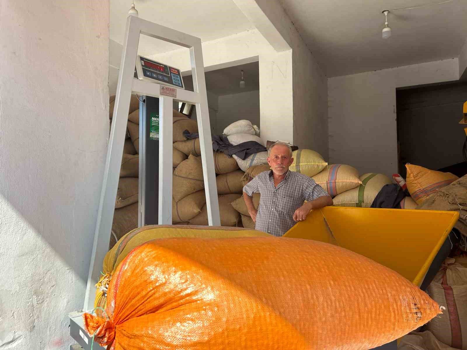 Fındık üreticileri fiyatların yükselmesini bekliyor