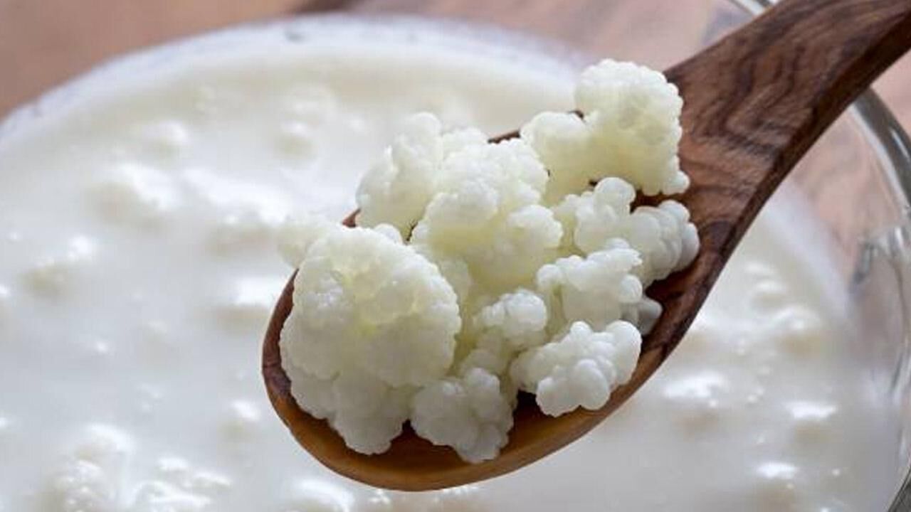 Sabah aç karnına kefir içmenin faydaları nedir? Her gün kefir içmek, laktozsuz kefir...