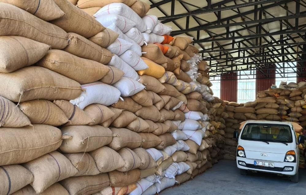 Fındık fiyatındaki artış üreticiyi sevindirdi