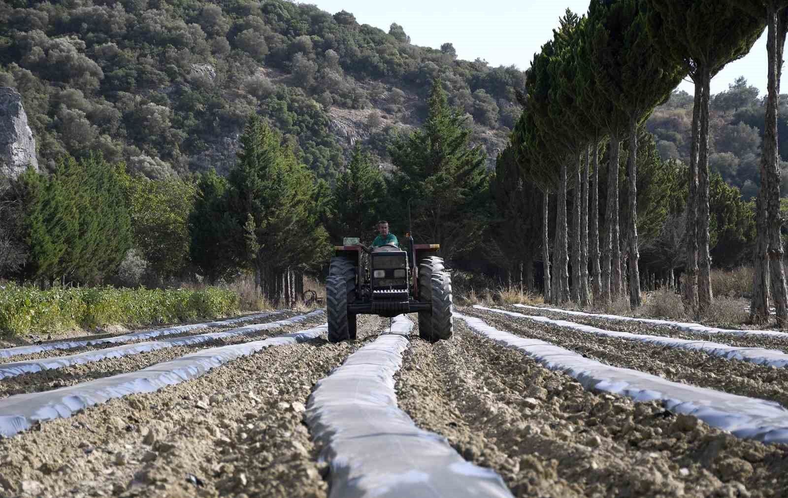 Adabahçe’de kış hazırlıkları başladı