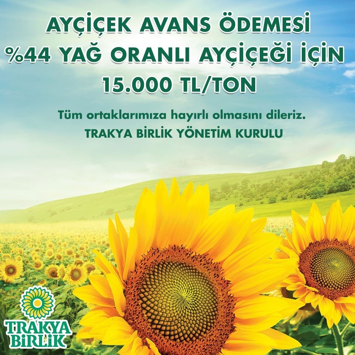 Trakya Birlik açıkladı: Ayçiçeğinde ton başına 15 bin liradan alım yapılacak