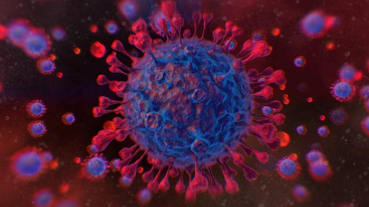 Eris virüsü nedir, Eris varyantı belirtileri nelerdir? Covid-19’un yeni varyantı: Eris virüsü!