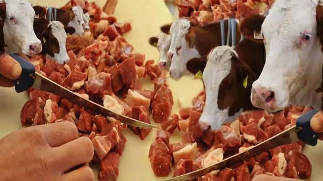 Kurban eti kaç günde tüketilmeli? Kurban eti dondurucuda nasıl saklanır?