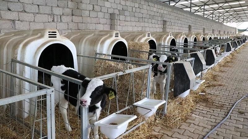 Bakan Yumaklı: 80 milyon TL hibe desteği sağladık