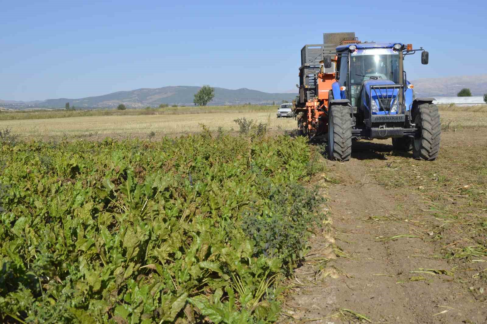 Burdur’da şeker pancarı hasadı sürüyor