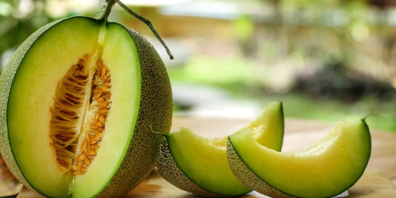 Kavun çekirdeği nasıl tüketilir? Kavun çekirdeğinin faydaları nelerdir? Kavun çekirdeği sütü…