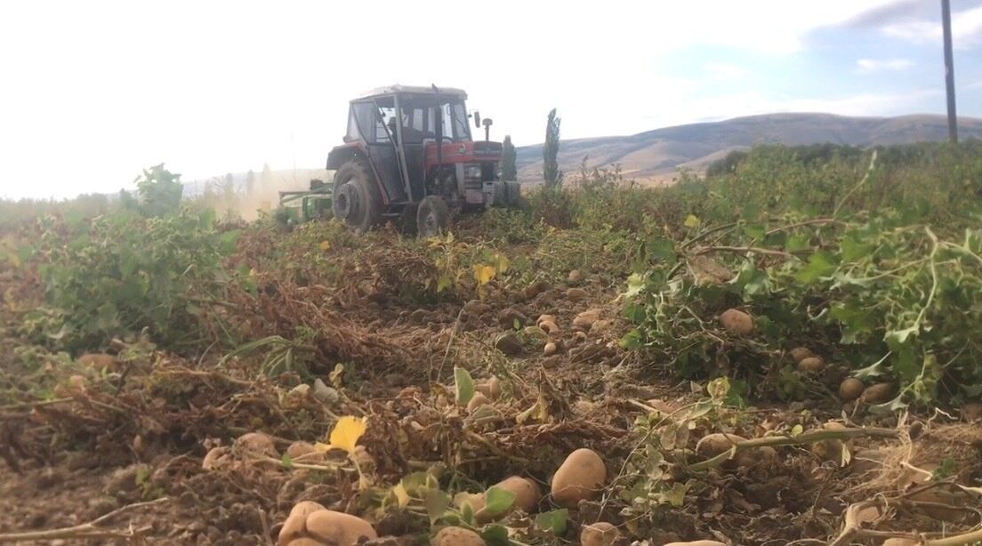 Erzincan’da patates hasadı başladı
