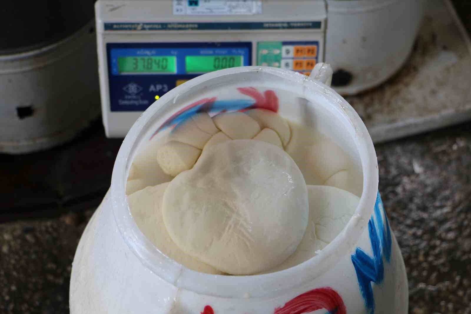 Kendi imkanlarıyla ürettikleri mandıra peynirini Türkiye’nin birçok noktasına gönderiyorlar