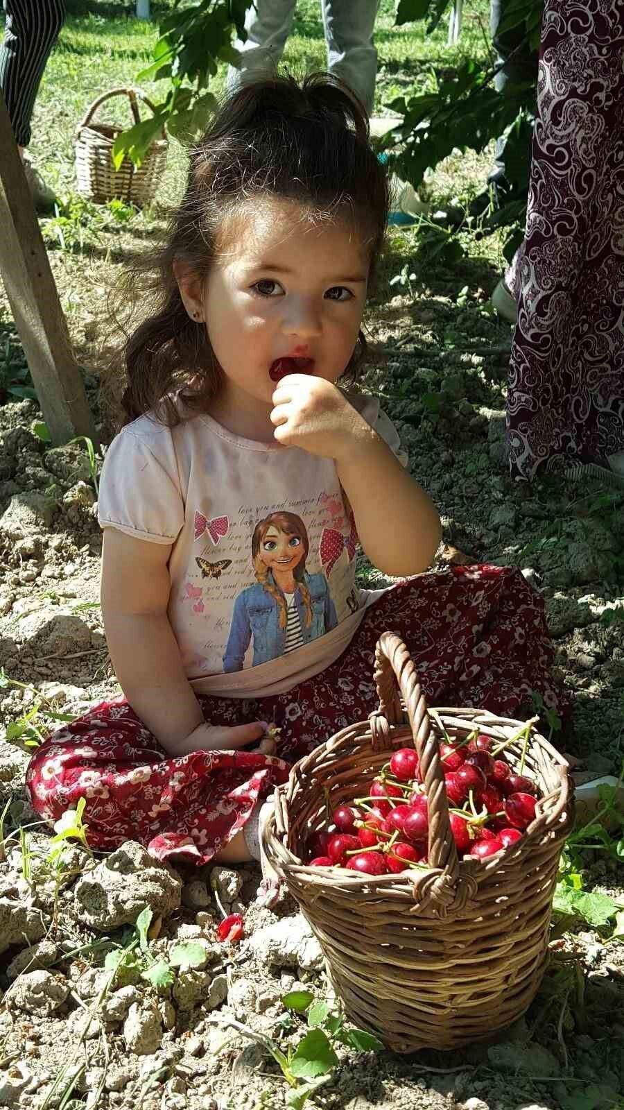 Olumsuz iklim şartlarına rağmen kiraz ve domates ihracatında rekor