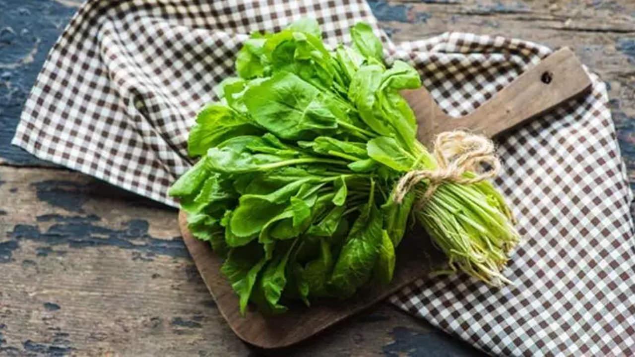 Terenin faydaları nelerdir, tere otu nasıl tüketilir? Tere kürü nasıl uygulanır?