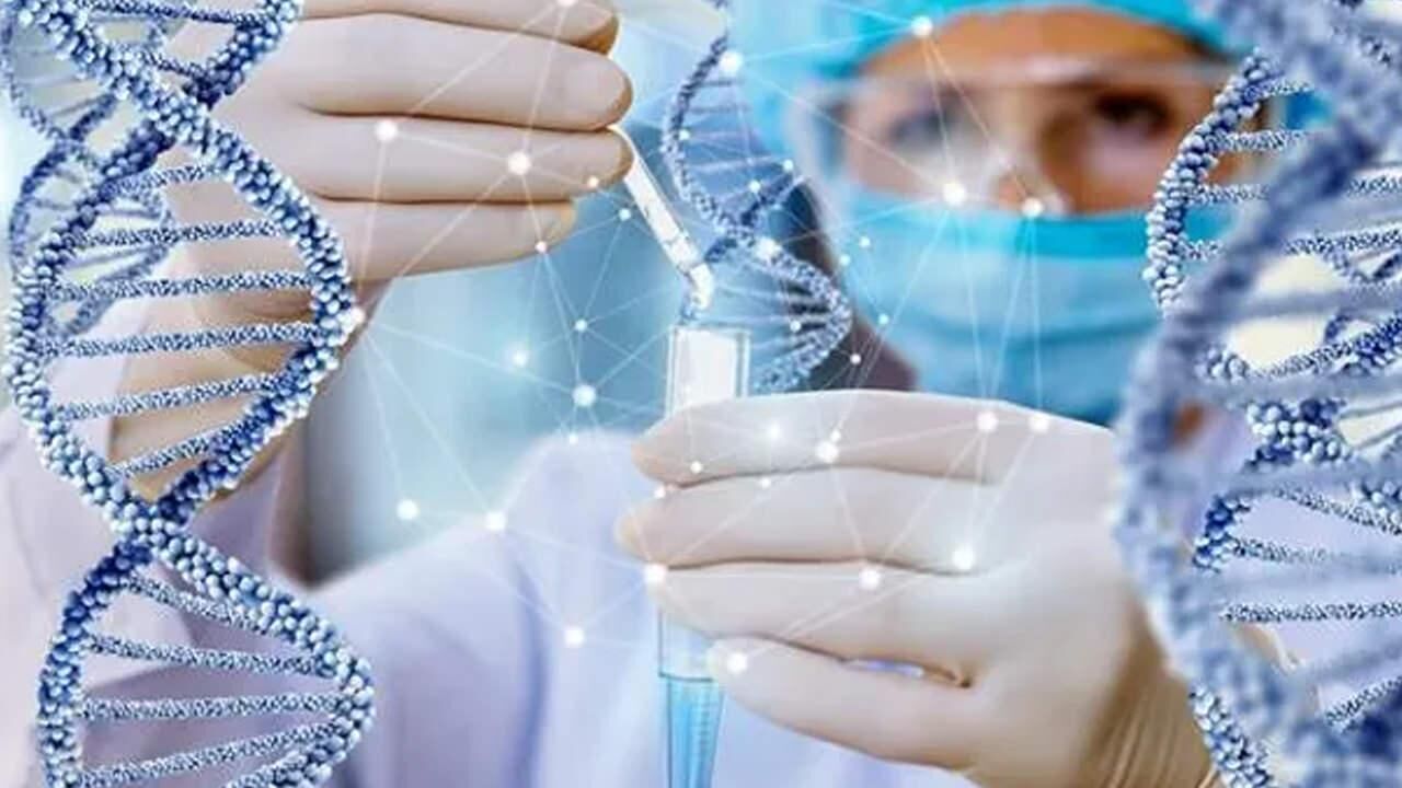 Dümdüz bir karın için ne yenmemeli? Alt karın nasıl düzleştirilir? Dümdüz karın için ne yapmalı?