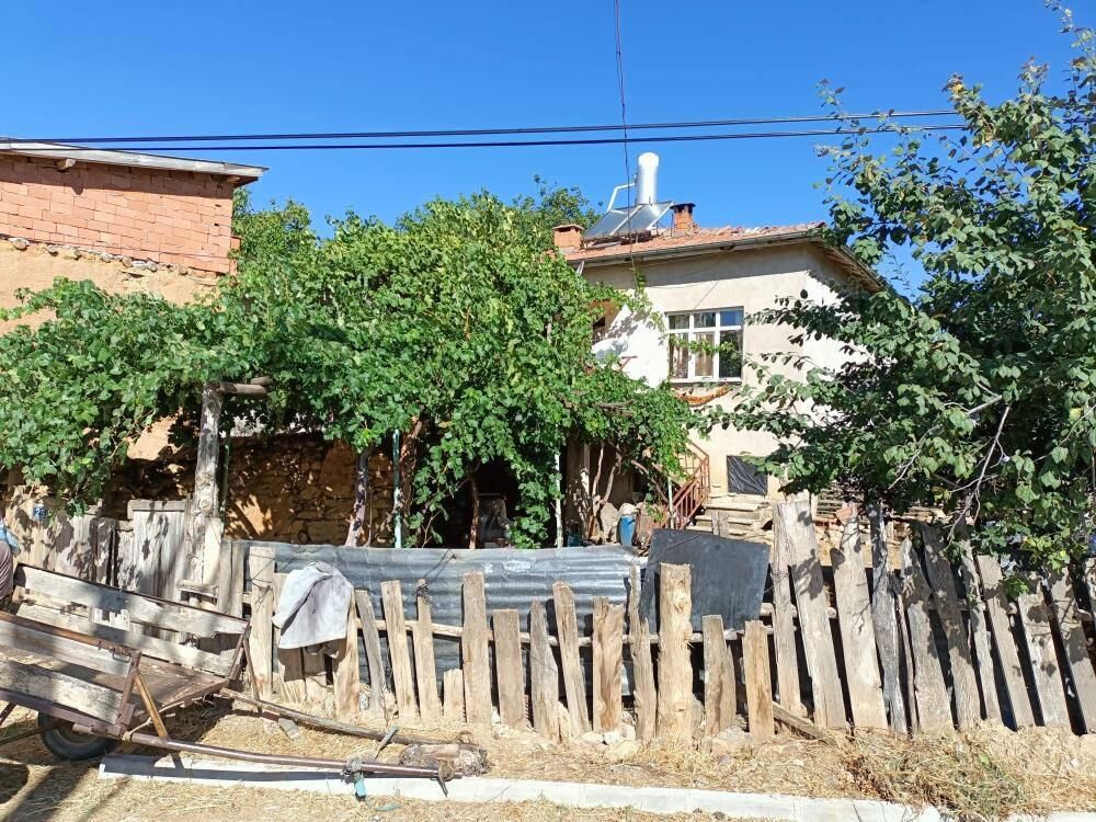 Kim Milyoner Olmak İster'de 1 milyon lira kazanan Rabia Göğercin köyünün gururu oldu