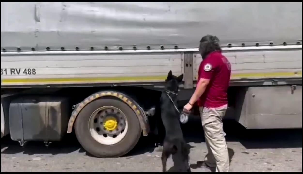 Bakan Yerlikaya açıkladı... 4 ilde zehir tacirlerine darbe